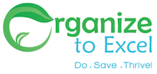Organize to Excel