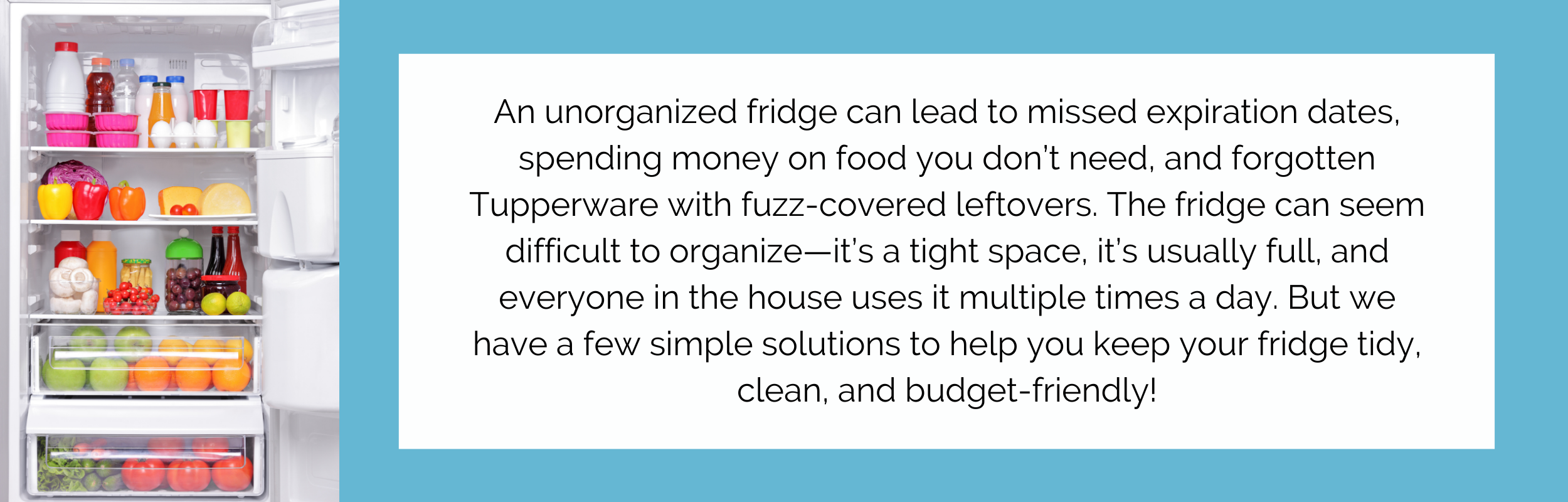 How to Organize Your Fridge - Blog - Organize to Excel